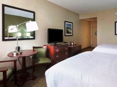 Hampton Buffalo-south/i-90 Hotel West Seneca